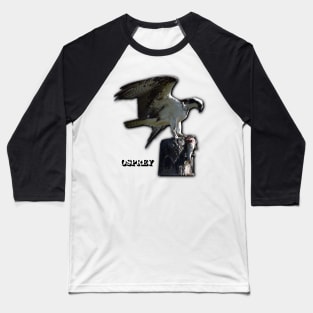 Osprey Baseball T-Shirt